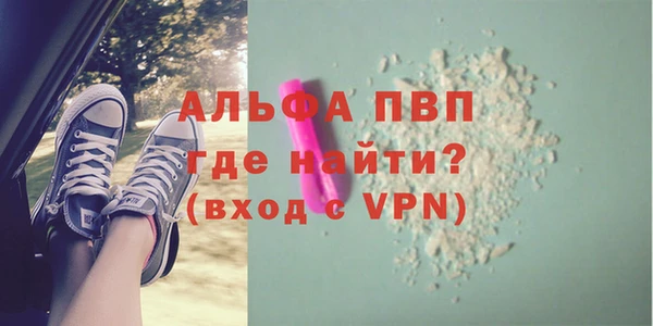 молекула духа Михайлов