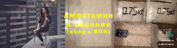 молекула духа Михайлов