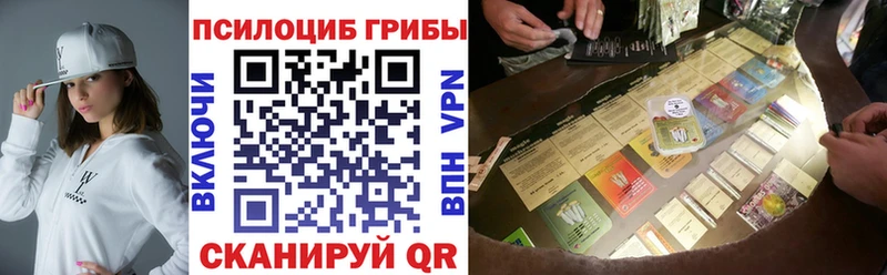 как найти закладки  Обоянь  Псилоцибиновые грибы мицелий 
